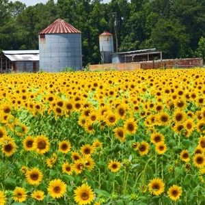 Meet your Posher, Janet